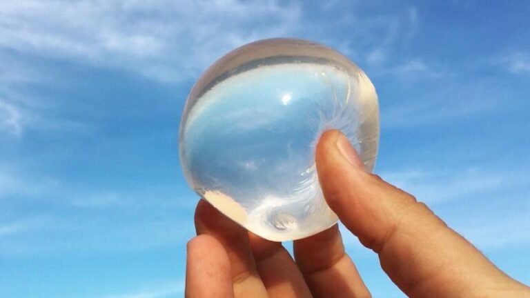 ooho-edible-water-bottle