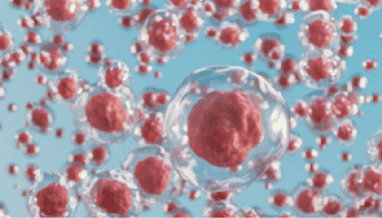 mesenchymal stem cells